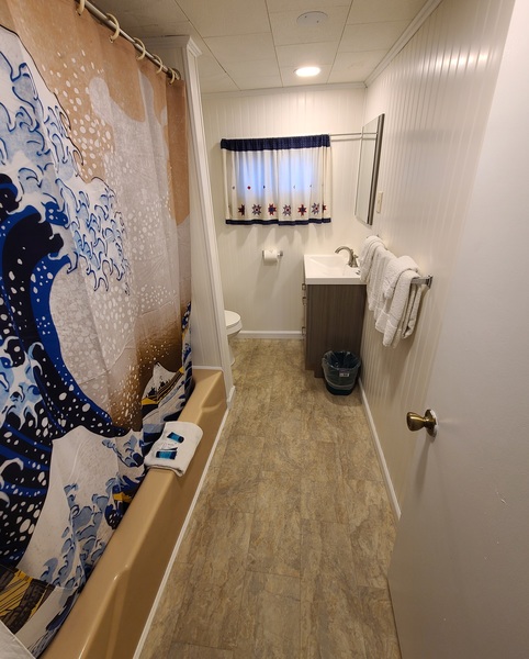 Single King Room Photo 2